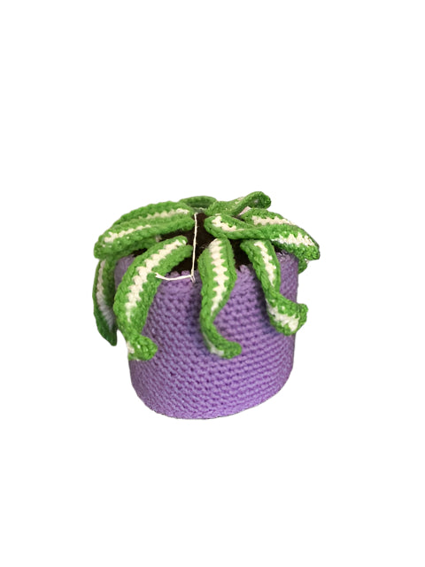 Spider Plant Toilet Paper Cover